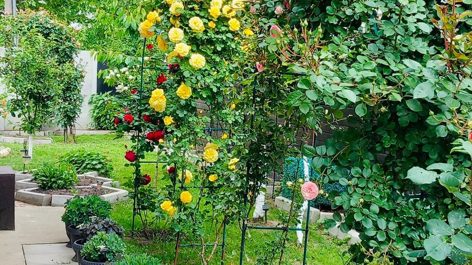 Parter cu structură pentru etaj, curte amenajată și organizare impeca - Poză 7