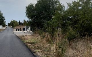 Vanzare Teren 5000mp - deschidere Lac Snagov - Ciofliceni - Poză 4