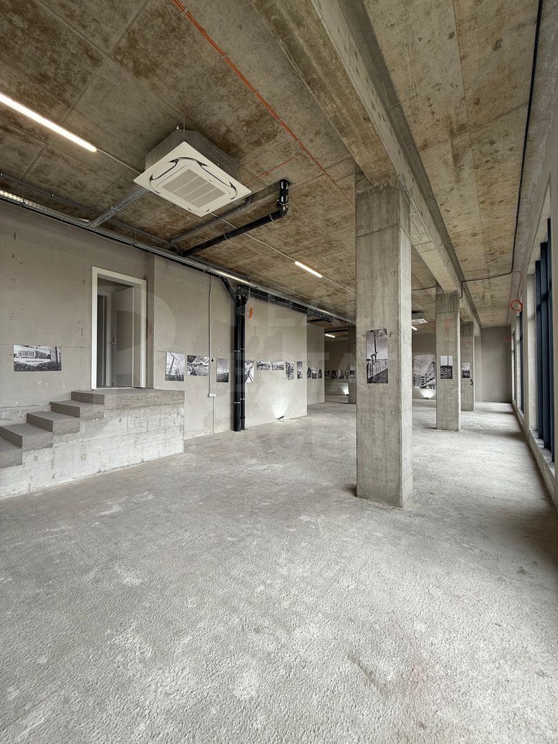 Vânzare, spațiu comercial, 245 mp, Torontal, Timișoara - Poză 12