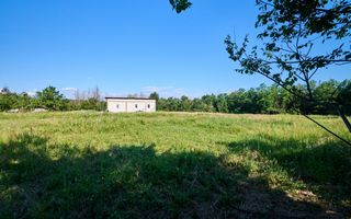 Teren Intravilan 1100 mp + Anexă 120 mp - Budeasa, Calotesti! - Poză 11