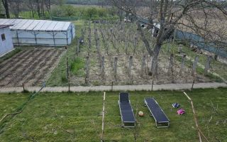 Casa in Comuna Nuci IF - Poză 3