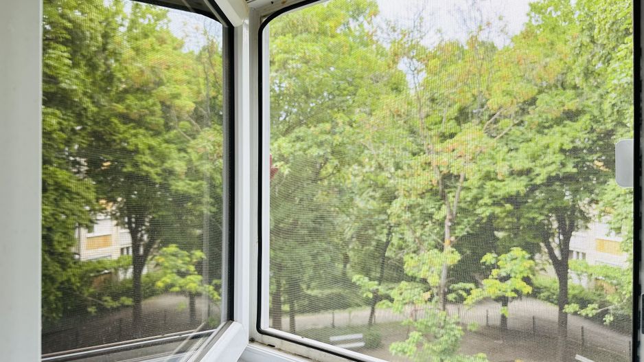 Apartament spatios cu 2 camere, in Vila apartamentata - Take Ionescu - Poză 20