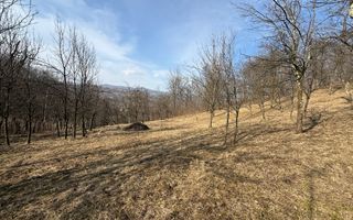 Teren intravilan 2788 mp deschidere 55 ml cu vedere panoramica ! - Poză 7