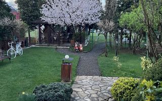 Casa Paulesti - Poză 5