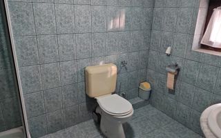 Vând vilă în Timișoara, multifuncțională - Poză 11