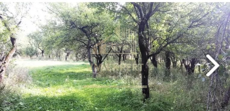 CASA 3 CAMERE, TEREN 7500 MP, VALEA MARE PRAVAT, ARGES - Poză 5