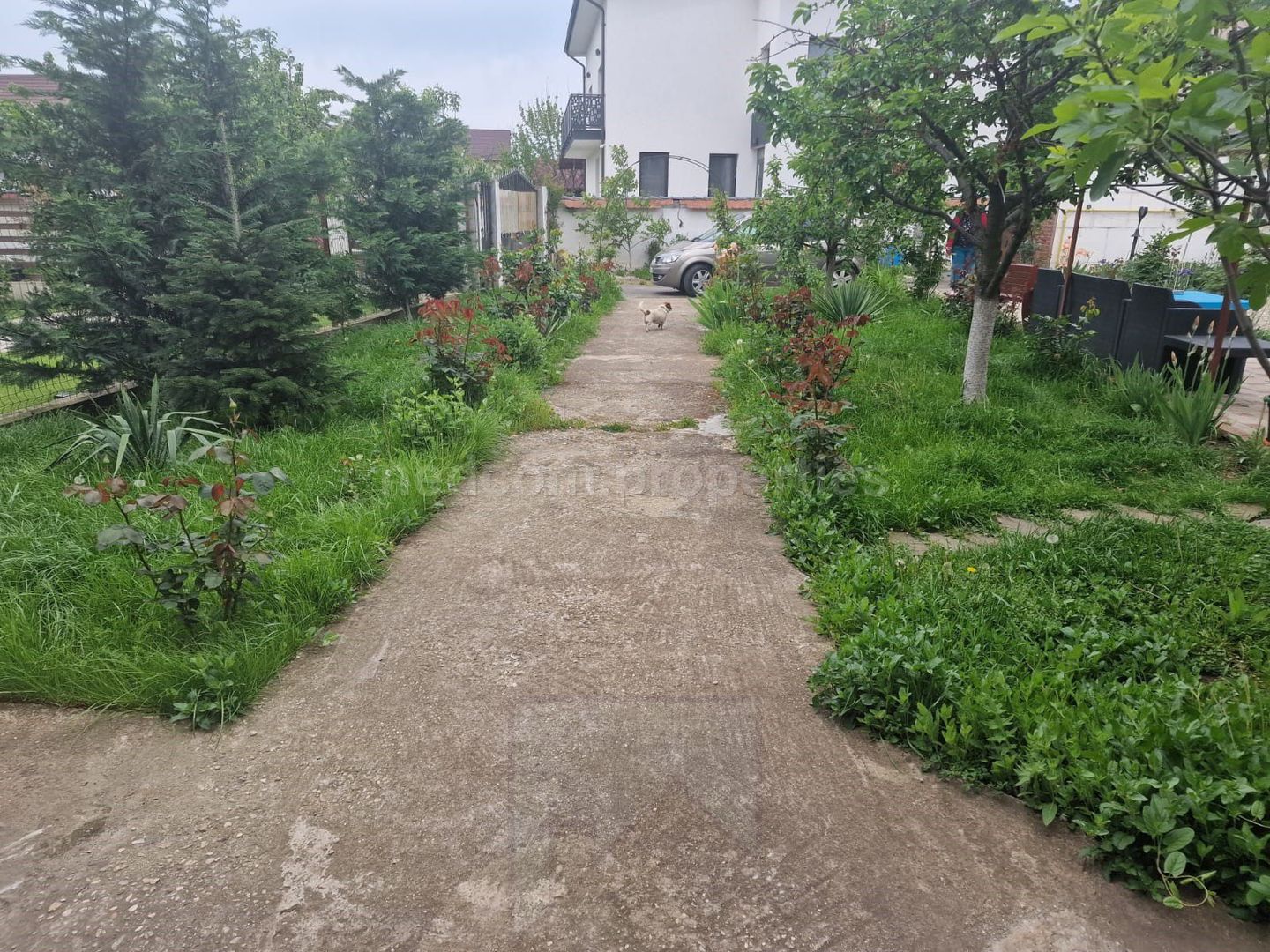 Vanzare Casa P+1 Magurele - Poză 20