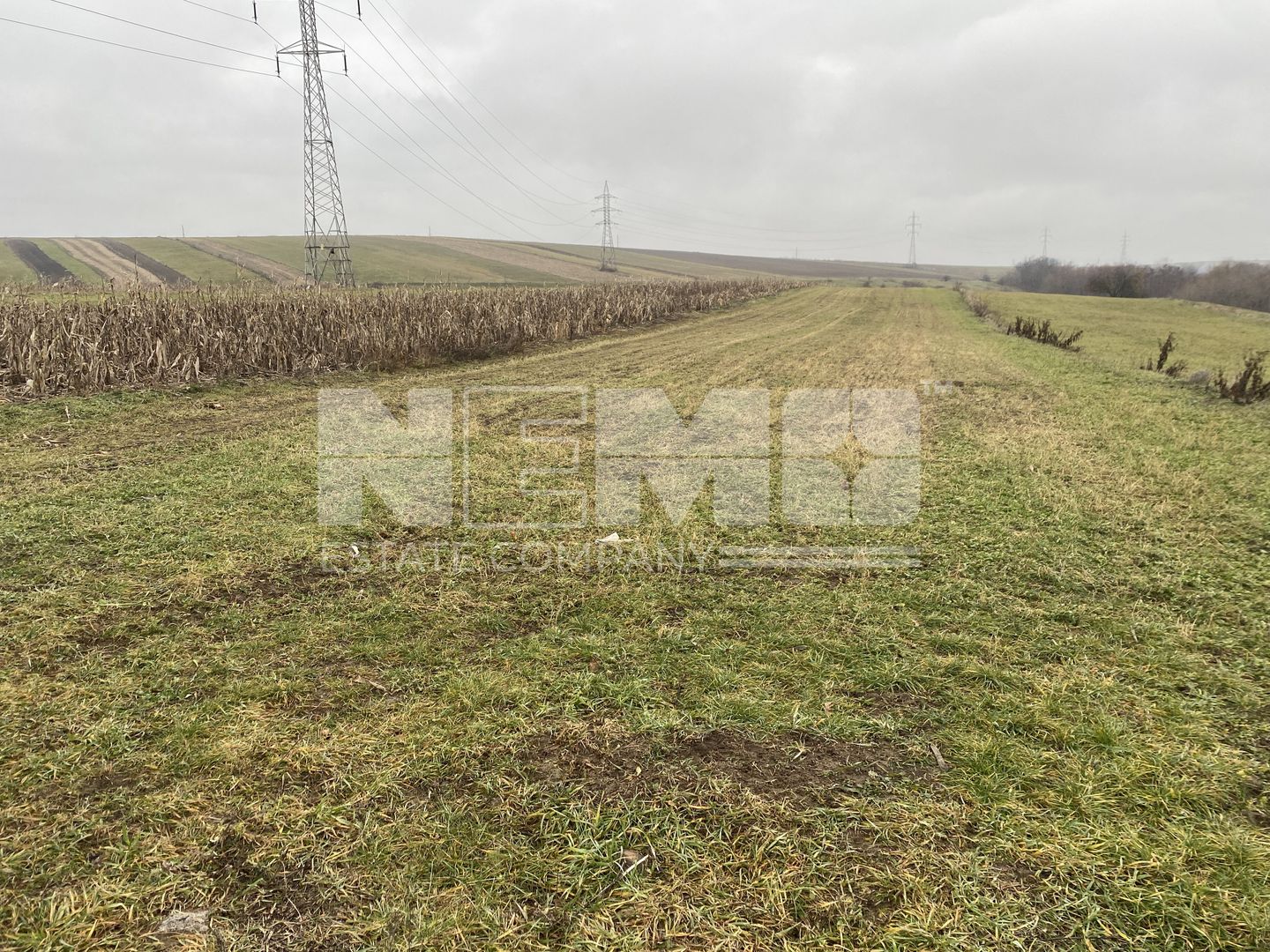 Teren Burdujeni | Zona Tarinca | 41 Ari - Poză 3