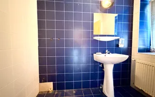 Proprietate multifuncțională cu potențial ridicat | Blascovici - Poză 13
