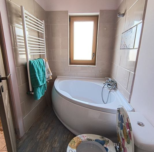 13 Septembrie- Tudor Vladimirescu -Piata Chirigiu - Poză 13