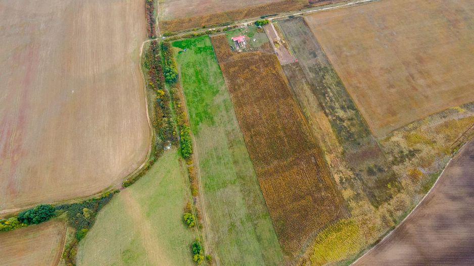 Teren arabil pe Strada Câmpurilor - Poză 6