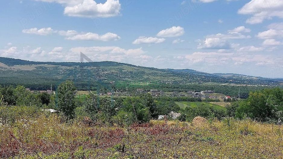 Teren intravilan, Curaturi, comuna Ciurea, 6310 mp - Poză 5