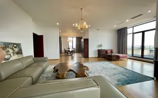 Penthouse exclusivist**250 MP//Terasa 120 mp**4 Camere//Erou Iancu Nicolae - Poză 15