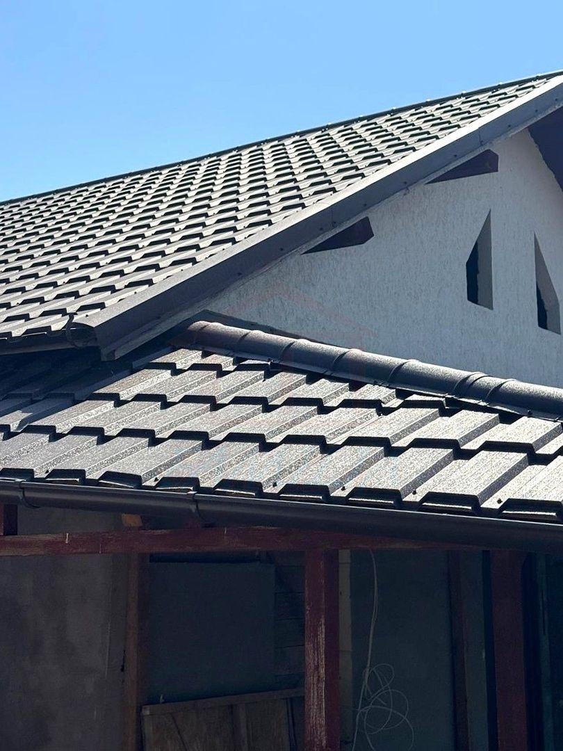 48.000 Euro casa+teren (in concesiune) 804 mp in com Branistea - Poză 1