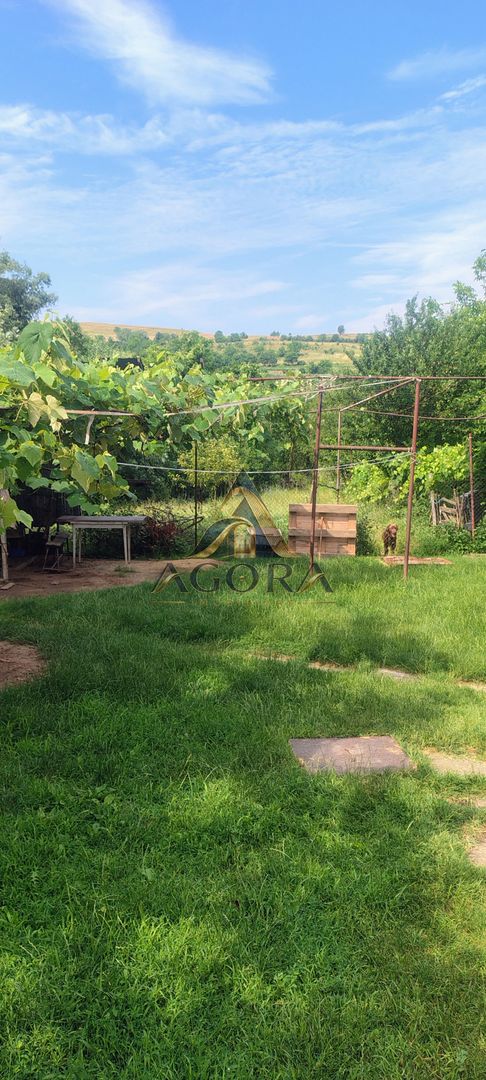 Casă cu teren 800 mp la 25 km de Sibiu – 3 camere, 124 mp – 65.000 € - Poză 6
