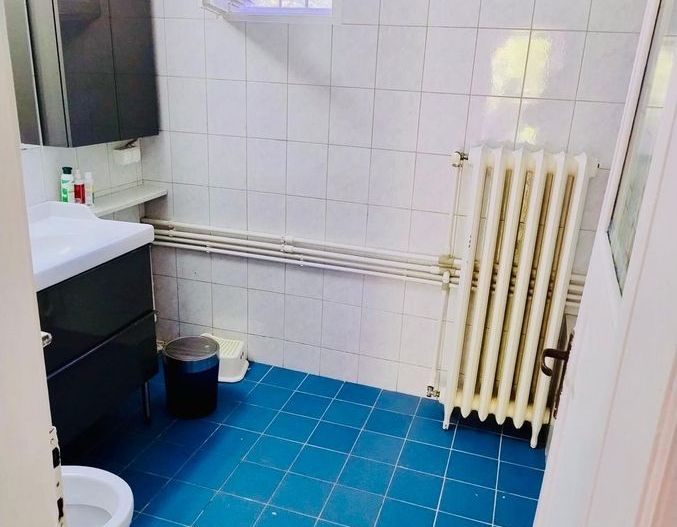 Apartament in vila / Domenii- Herăstrău - Poză 6