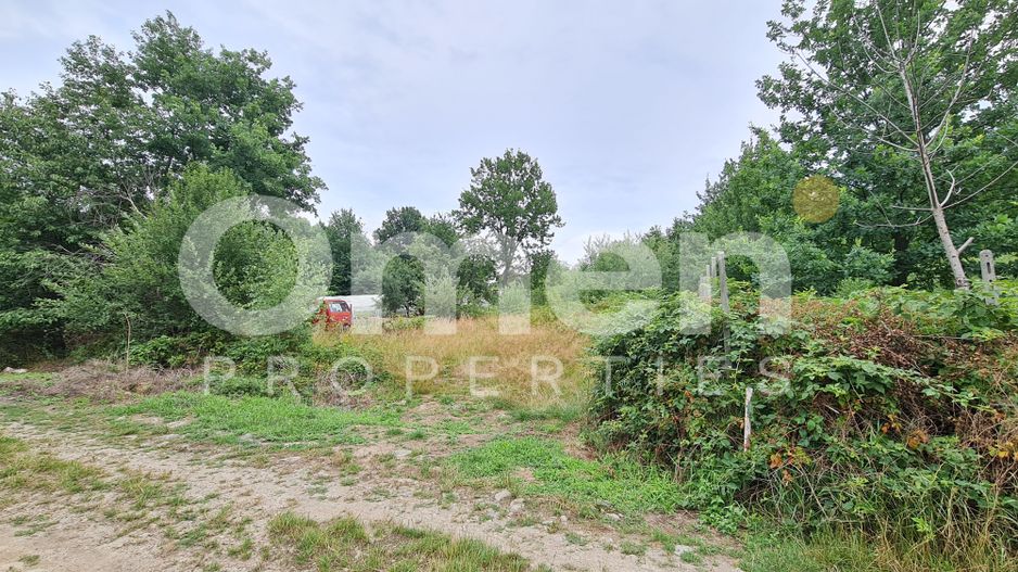 Teren intravilan de vânzare | 1.656 mp | 69.000 € | strada Murelor | Groși - Poză 2