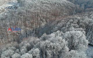 COMISION 0% -Casa deosebita Ciocanai - Poză 46