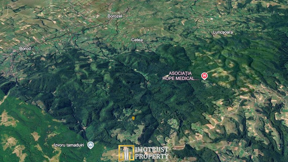De vânzare teren extravilan  8,2037 ha pădure și pășune Borod, Bihor - Poză 2