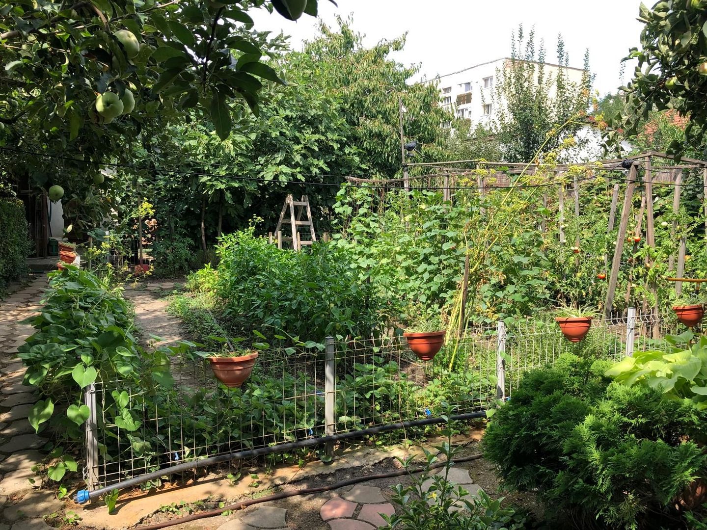 BRASADAS vinde casa cu 7 camere si teren 1100mp in zona Burdea. - Poză 21