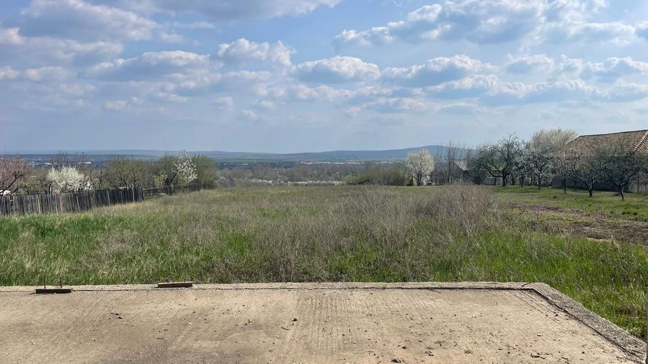 2 Case de vanzare zona Facliei Oradea | Teren 1800 mp - Poză 8