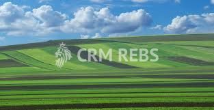 Teren în 1 Decembrie, judet Bucuresti Ilfov - Poză 2