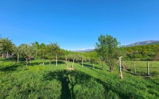 Teren intravilan I 3370 mp I PUZ pentru P+2 I Zona  Cisnadie - Poză 4