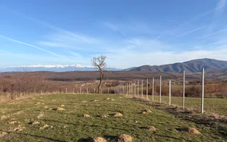 Teren intravilan 809 mp cu deschidere 14 m în Tropinii Noi - Poză 11