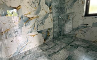 Duplex pe parter Mosnita Veche - Poză 8