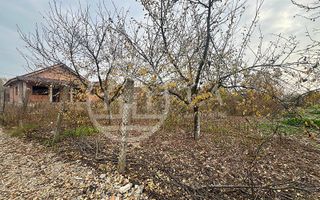 Teren si casa la rosu de vanzare in Biharia, Bihor - Poză 11