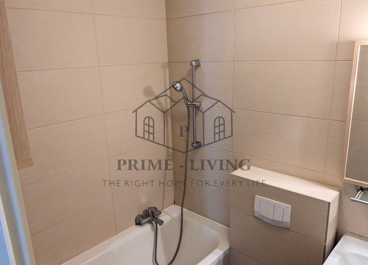 APARTAMENT COCHET CU 1 DORMITOR LA INCHIRIERE LANGA PARC HERASTRAU - Poză 5