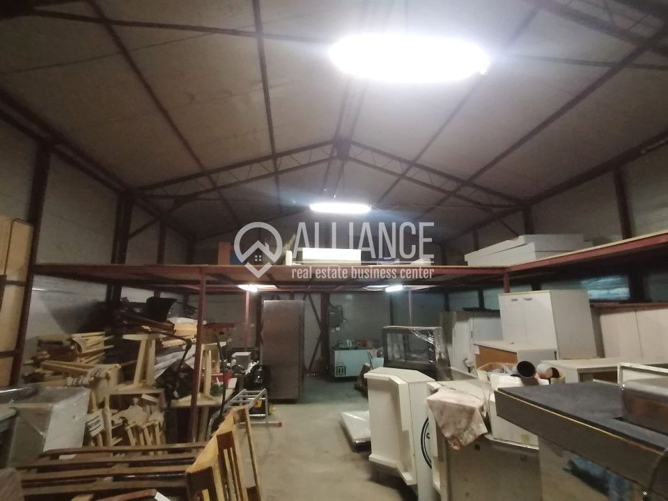 DELFINARIU (COD10) - Spatiu productie/Hala/ Depozit de inchiriat - Poză 6