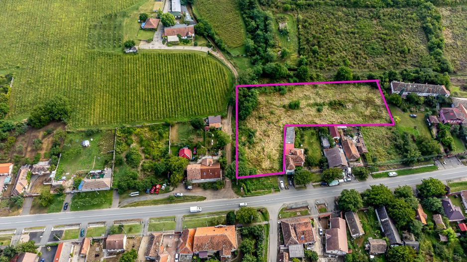 Teren de vis în Ghioroc! Stațiunea supranumită ”Litoralul Vestului” - Poză 1