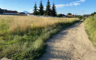 Teren 14400 mp la iesire din Rasnov inspre Pârâul Rece-Trei Brazi - Poză 13