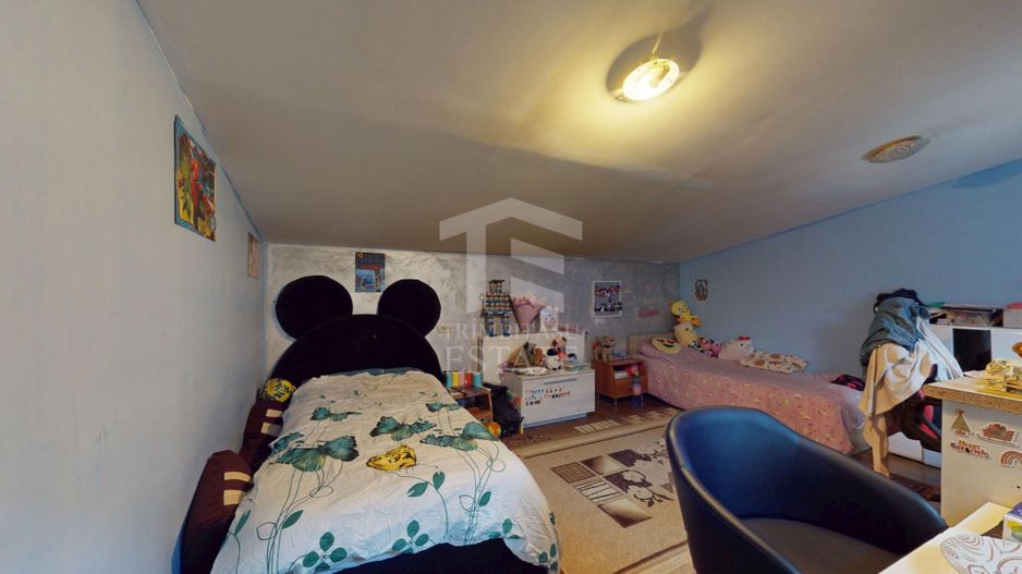 Casa P+1 Sector 5 / Ideala pentru doua familii sau investitie - Poză 41