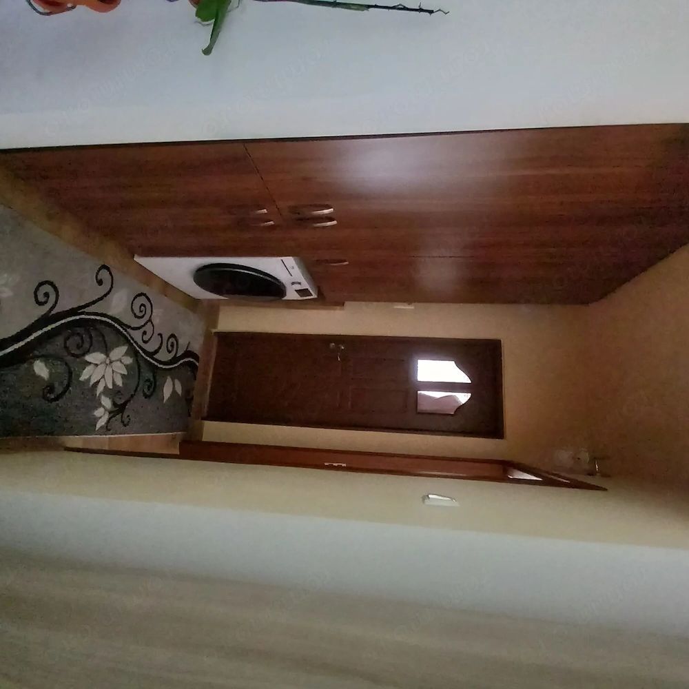 Apartament cu 2 camere de vanzare pe strada Careiului vizavi cu Nepi Shopping Plaza. - Poză 4