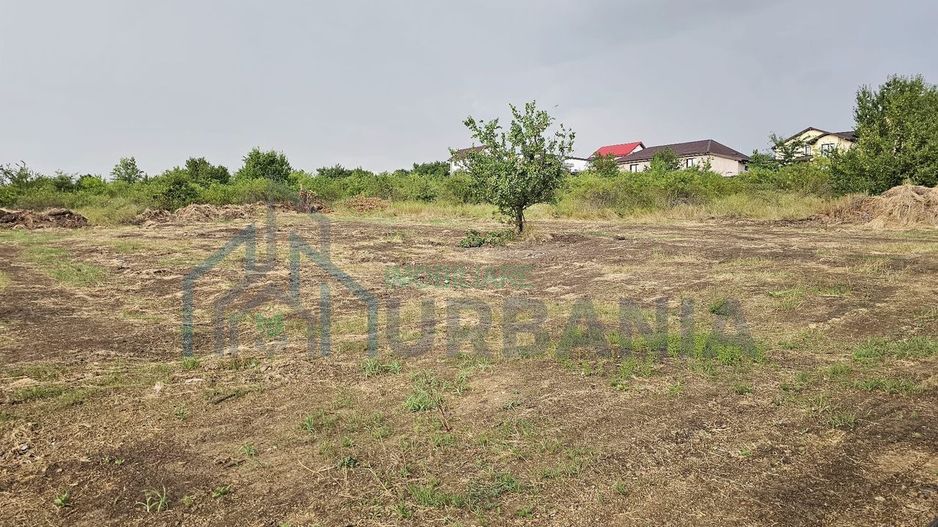 Teren intravilan 2.212 mp Miroslava – 5 Drumuri Asfalt + utilități - Poză 3