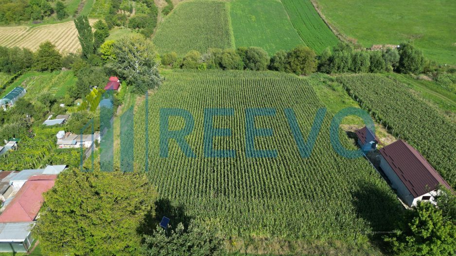 Teren intravilan de vânzare, Sat Bogdănști, Com. Traian - Poză 3