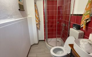 Casa singura in curte intre Calea Calarasilor si Pache Protopopescu - Poză 12