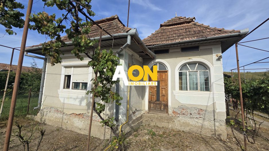 Casa 3 Camere, 1100mp Teren cu Garaj, Gura Ariesului - Poză 1