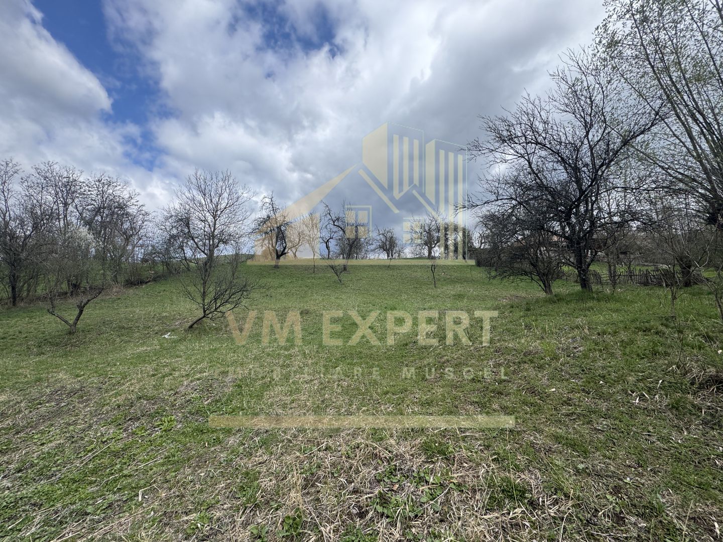 TEREN INTRAVILAN 4365 MP POENARII DE MUȘCEL  JUDEȚUL ARGES - Poză 1