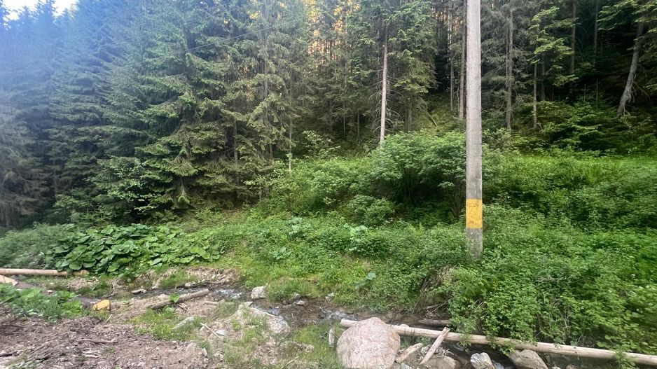 50 hectare teren | Moldova-Sulita | Potential turistic si agricol - Poză 18