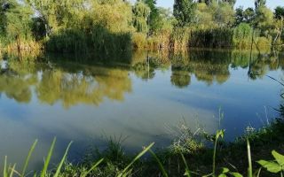 Teren intravilan de vânzare | Exterior Est, Miercurea Sibiului - Poză 1