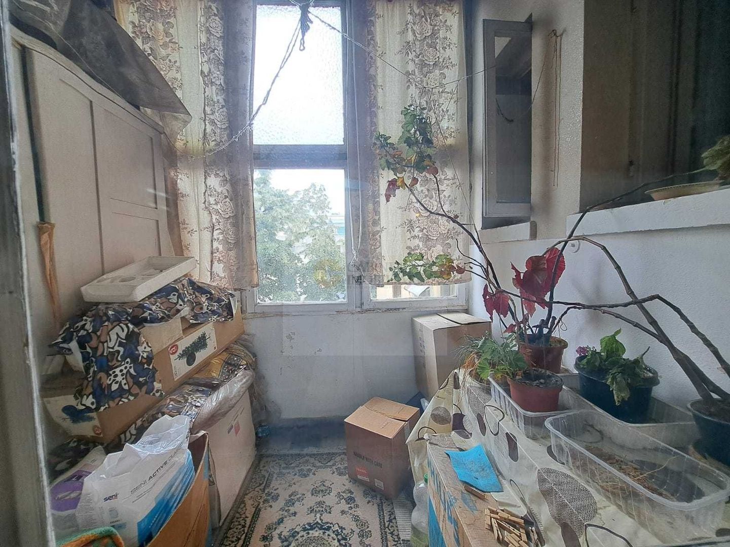 3 camere  |  Cismigiu  |  Oportunitate - Poză 5