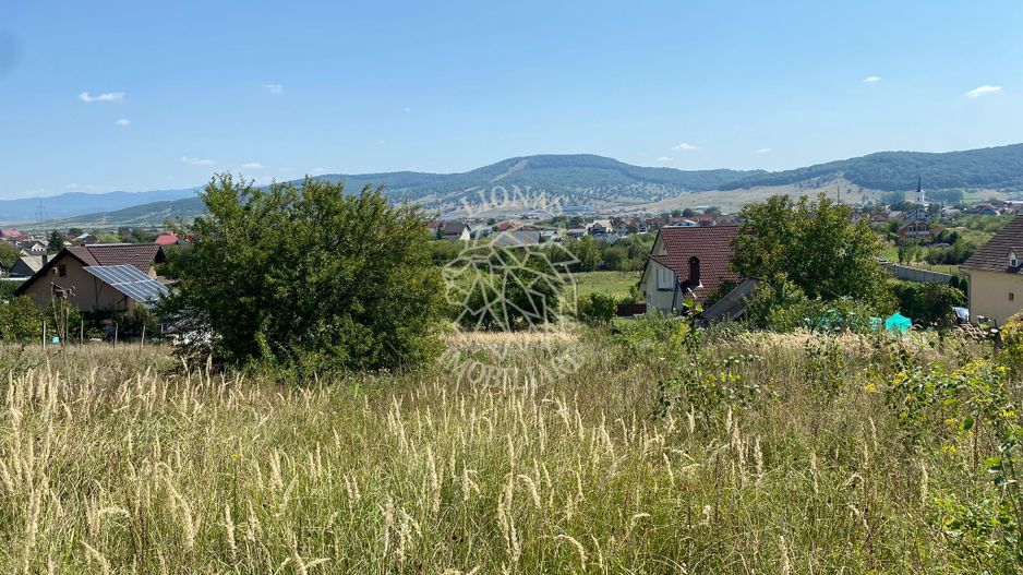 Teren intravilan 1300 mp-parcelabil-Viile cu Pomi-Unirea-Exclusiv - Poză 2