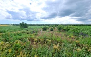 OVIDIU (COD 02)  - teren extravilan 4000 mp - Poză 3