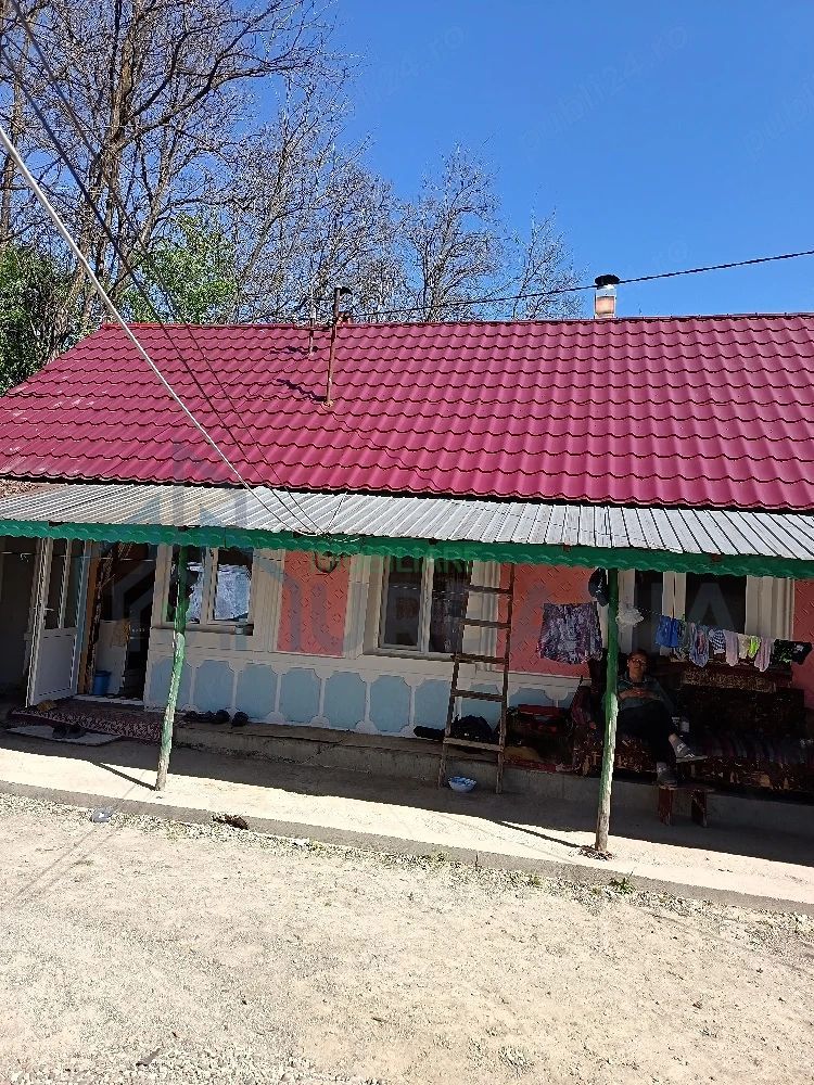 Vânzare două case în Tudor Vladimirescu, cu curte, grădină și livadă - Poză 1