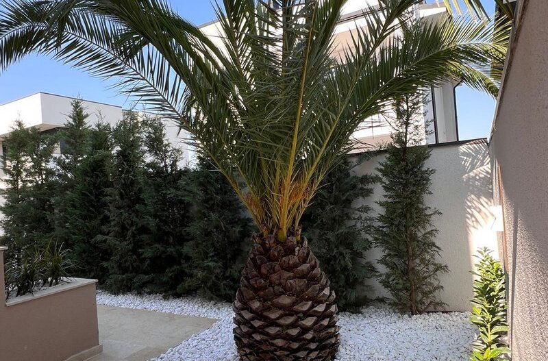 Casă / Vilă de vânzare în Central, Pantelimon - Poză 10