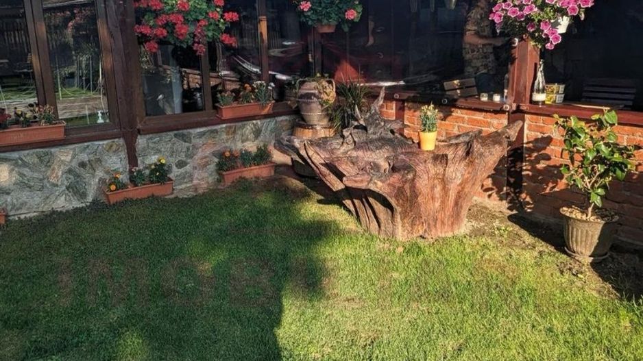 RESTAURANT DE VÂNZARE-COM. OBREJA\SAT IAZ\CARAȘ SEVERIN - Poză 8