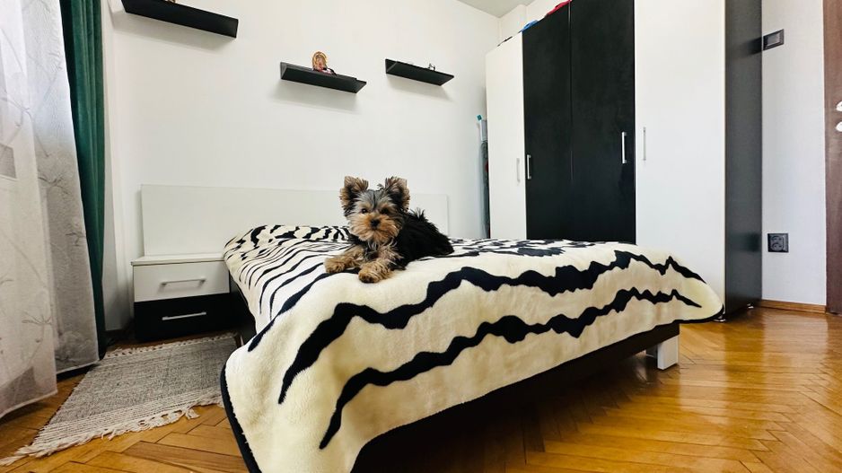 Kiko isi vinde primul camin | 3 camere | P-ta Iuliu Maniu - Poză 7